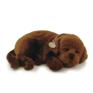 Chocolate Lab Lg