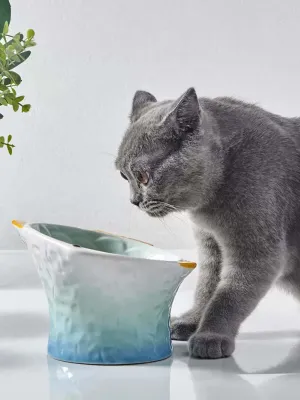 Fish Colored Ceramic Elevated Cat Bowl, Tilted Raised Dish for Cat or Dog