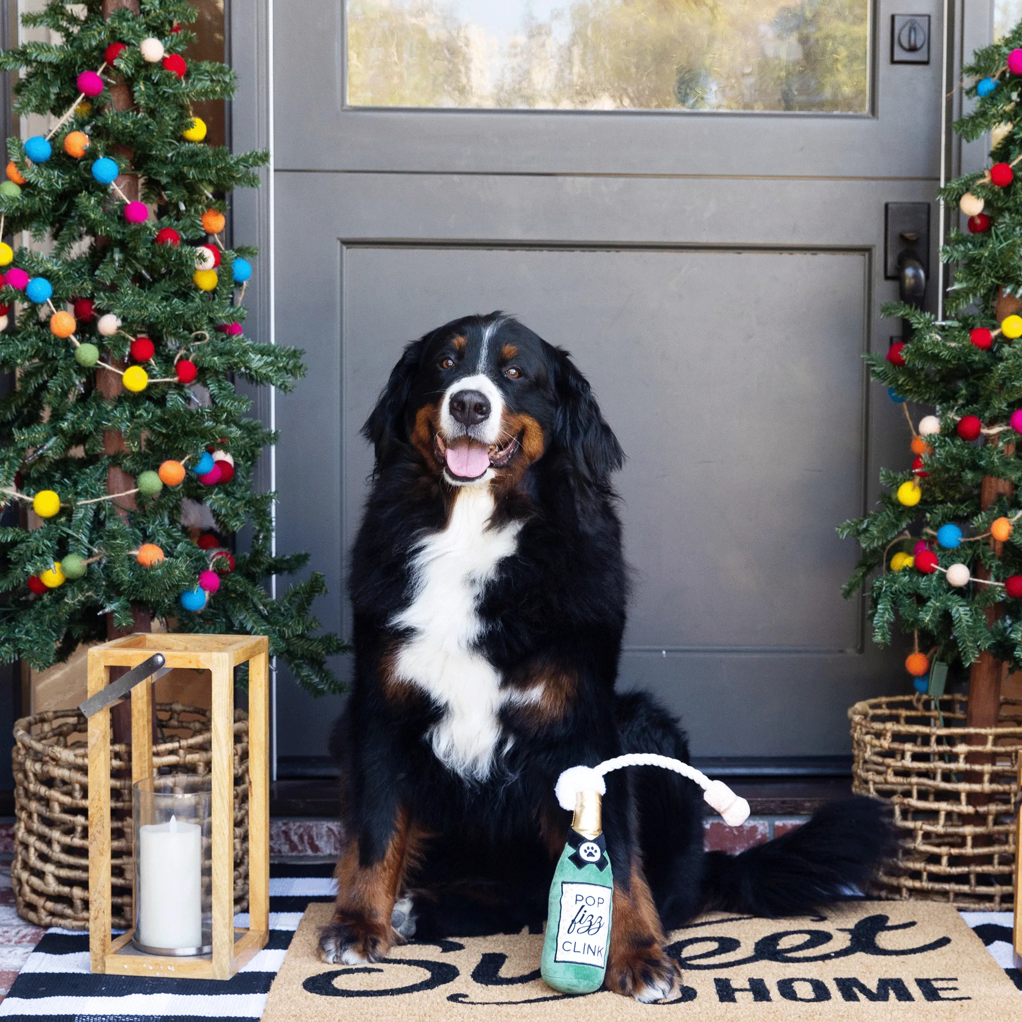 Fringe Pop Fizz Clink - Dog Toy