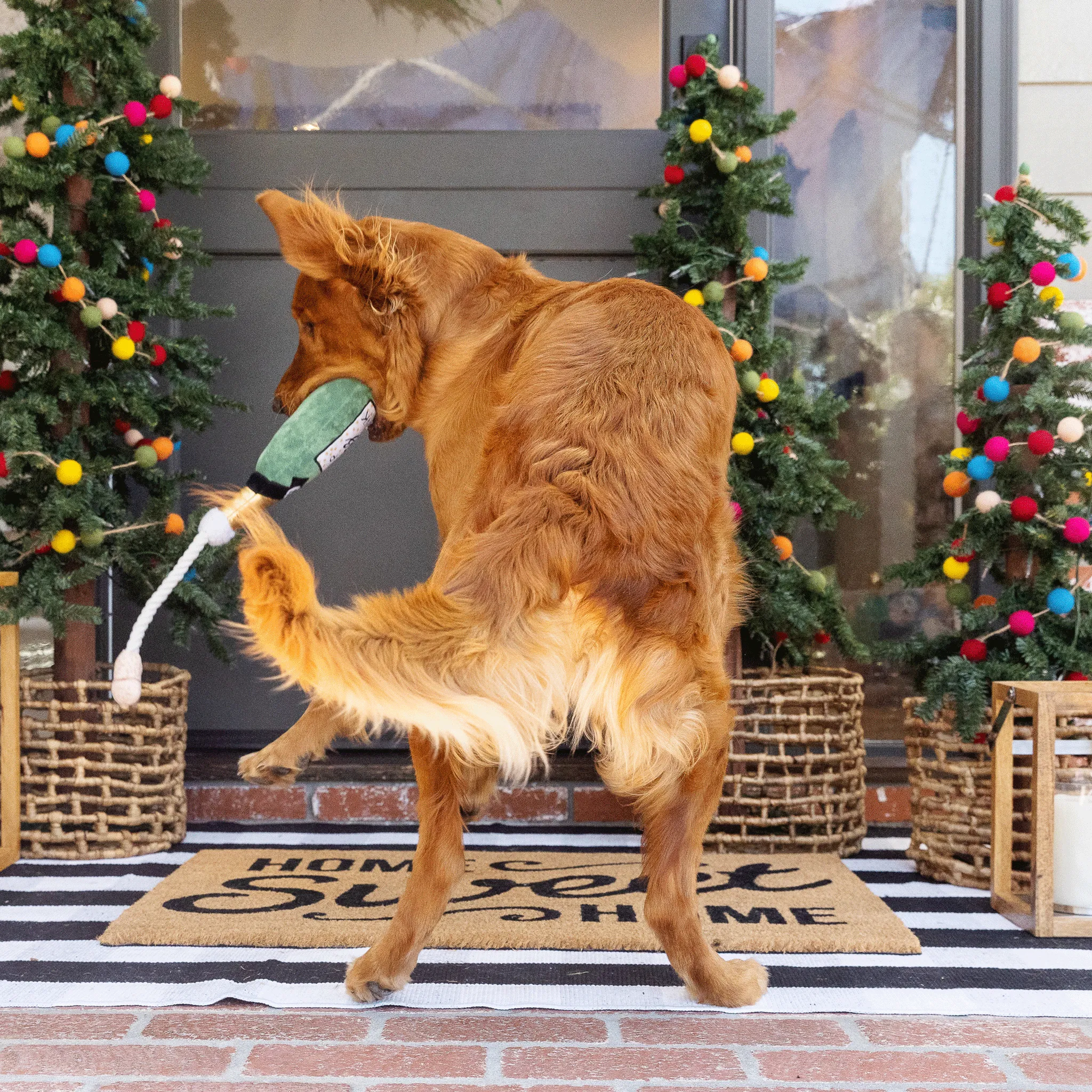 Fringe Pop Fizz Clink - Dog Toy