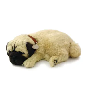 Pug Lg