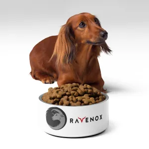 Ravenox Stainless Steel Pet Bowl