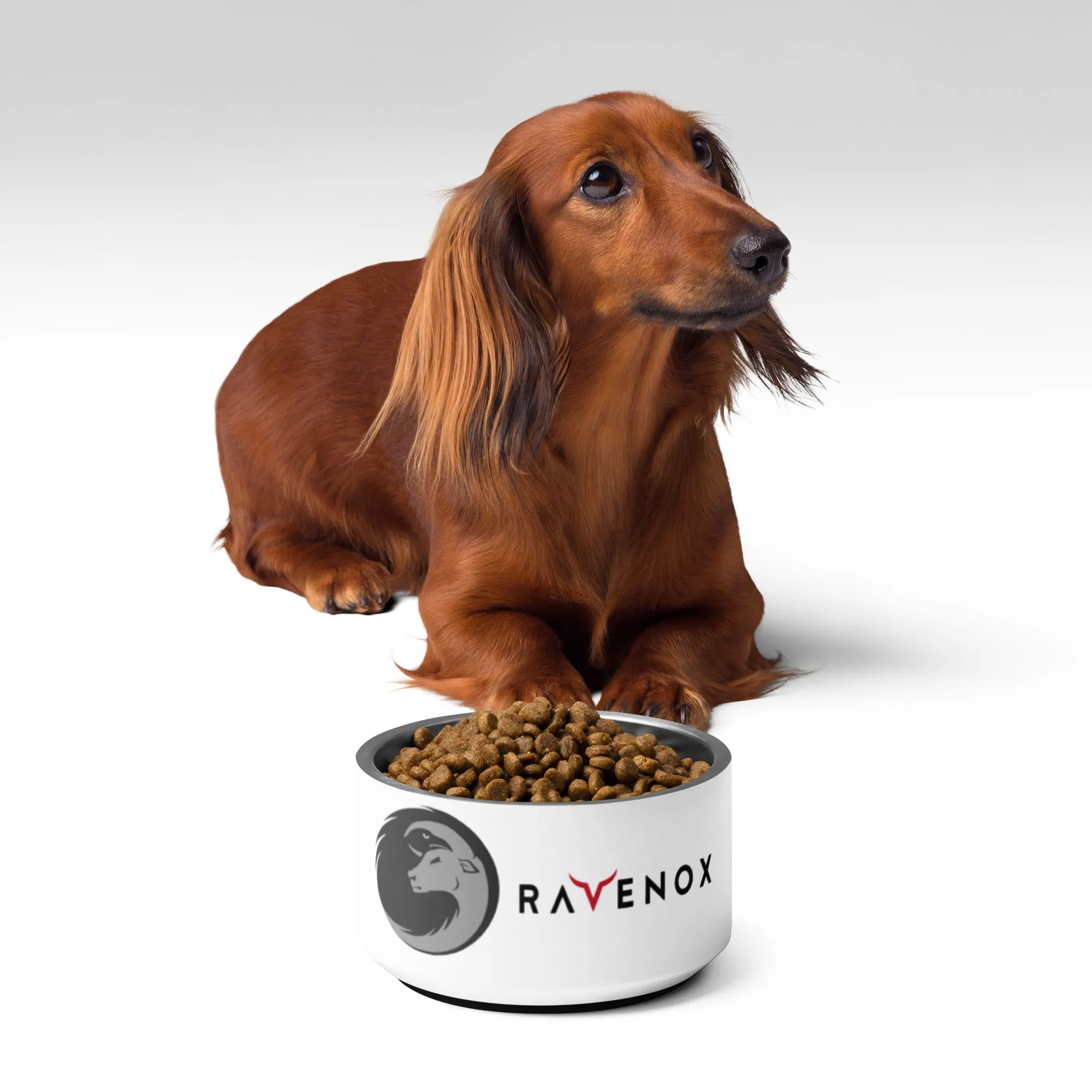 Ravenox Stainless Steel Pet Bowl