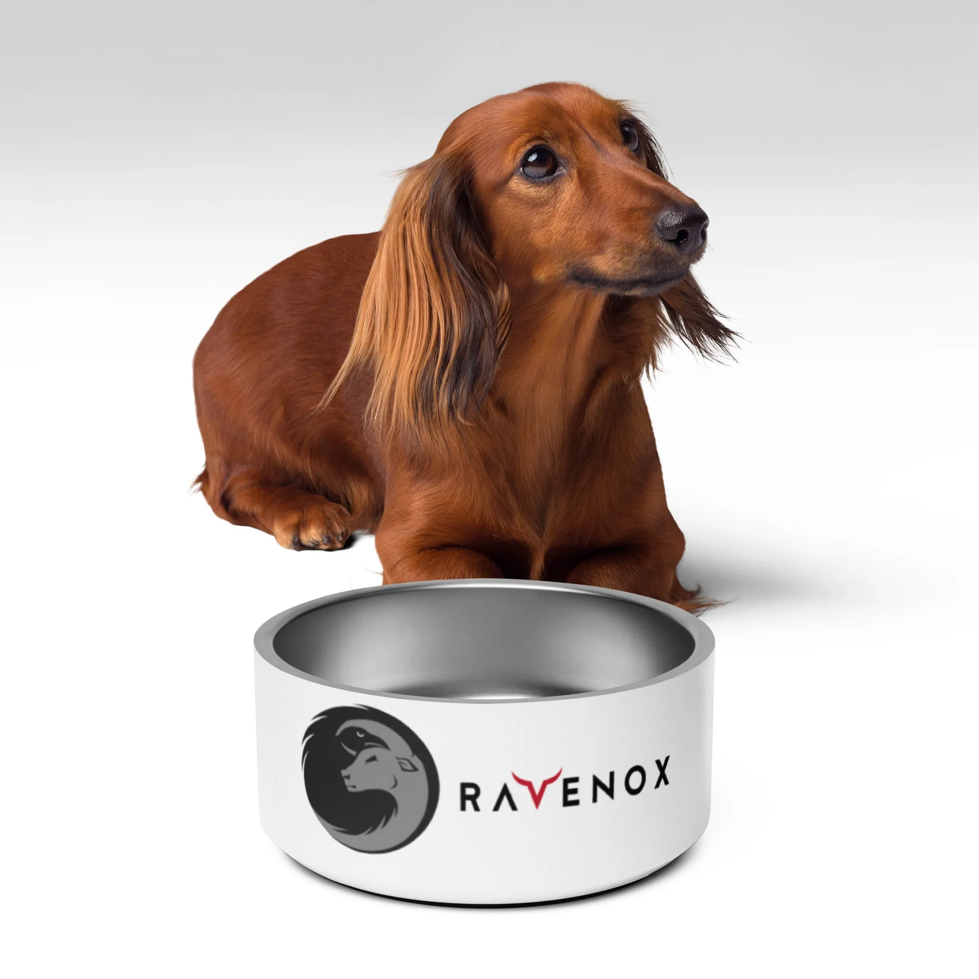 Ravenox Stainless Steel Pet Bowl