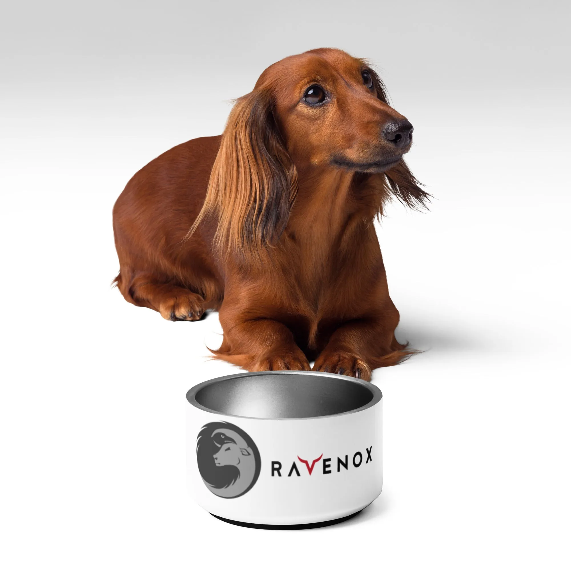 Ravenox Stainless Steel Pet Bowl