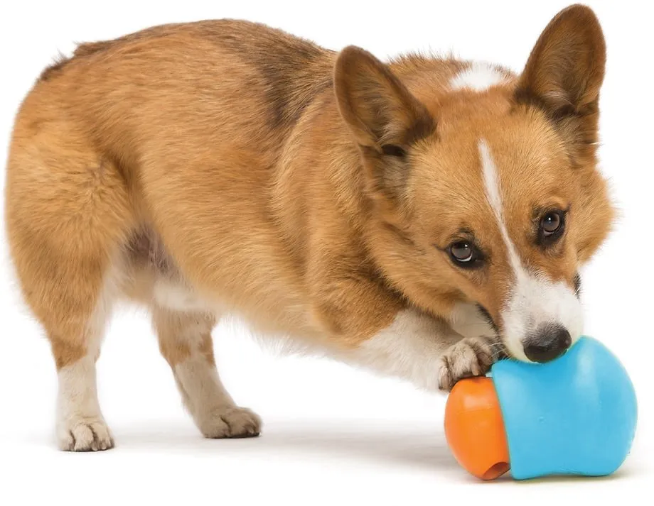 Toppl Dog Treat Toy