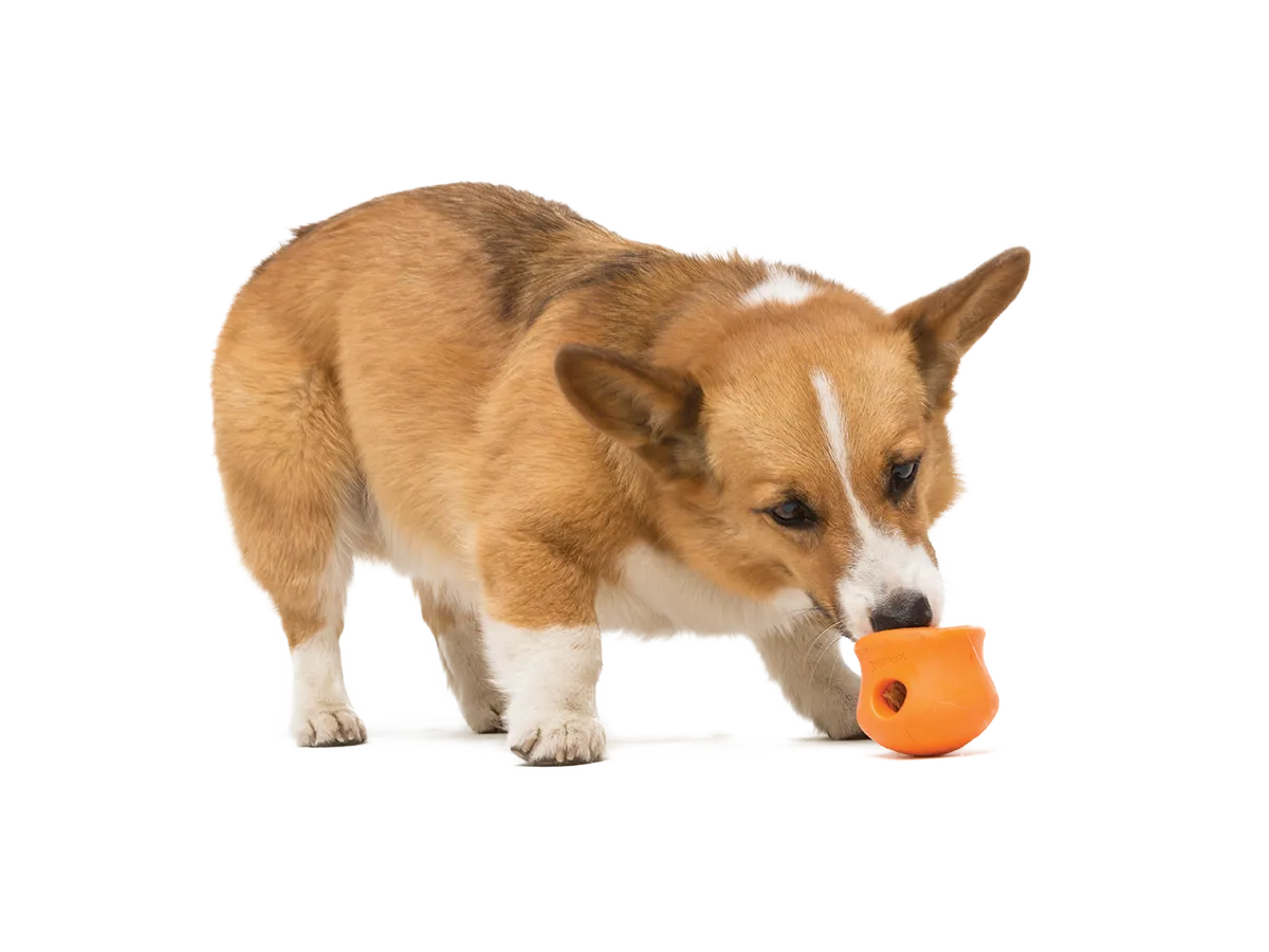 Toppl Dog Treat Toy